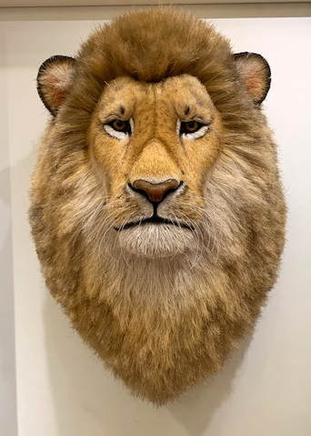 Sisal lion head sculpture by Anne Andersson