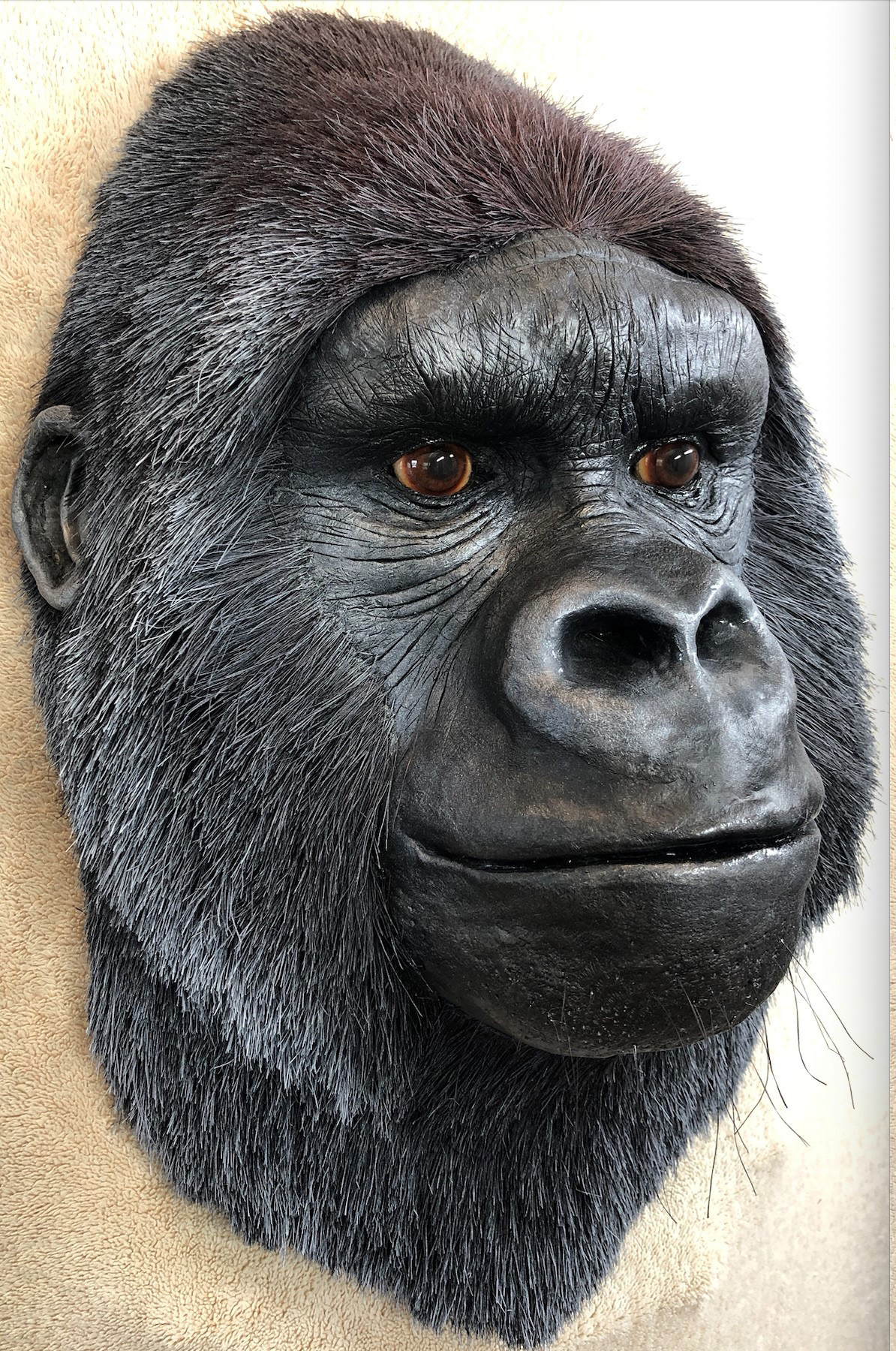 Sisal Fiber and Clay Silverback Gorilla Wall Sculpture by Anne Andersson